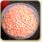 Masoor Dal Manufacturer Supplier Wholesale Exporter Importer Buyer Trader Retailer in Ramganj Mandi Rajasthan India